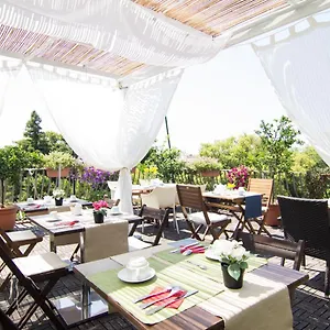 Bed & Breakfast 7 ***